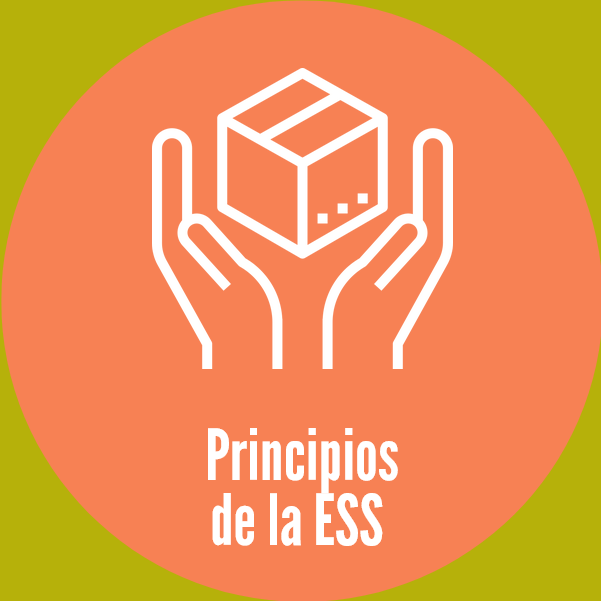 Principios de la ESS