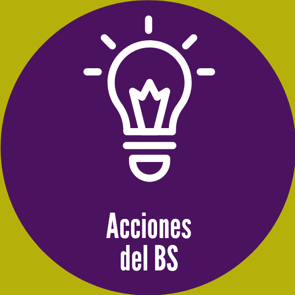 Acciones del balance Social